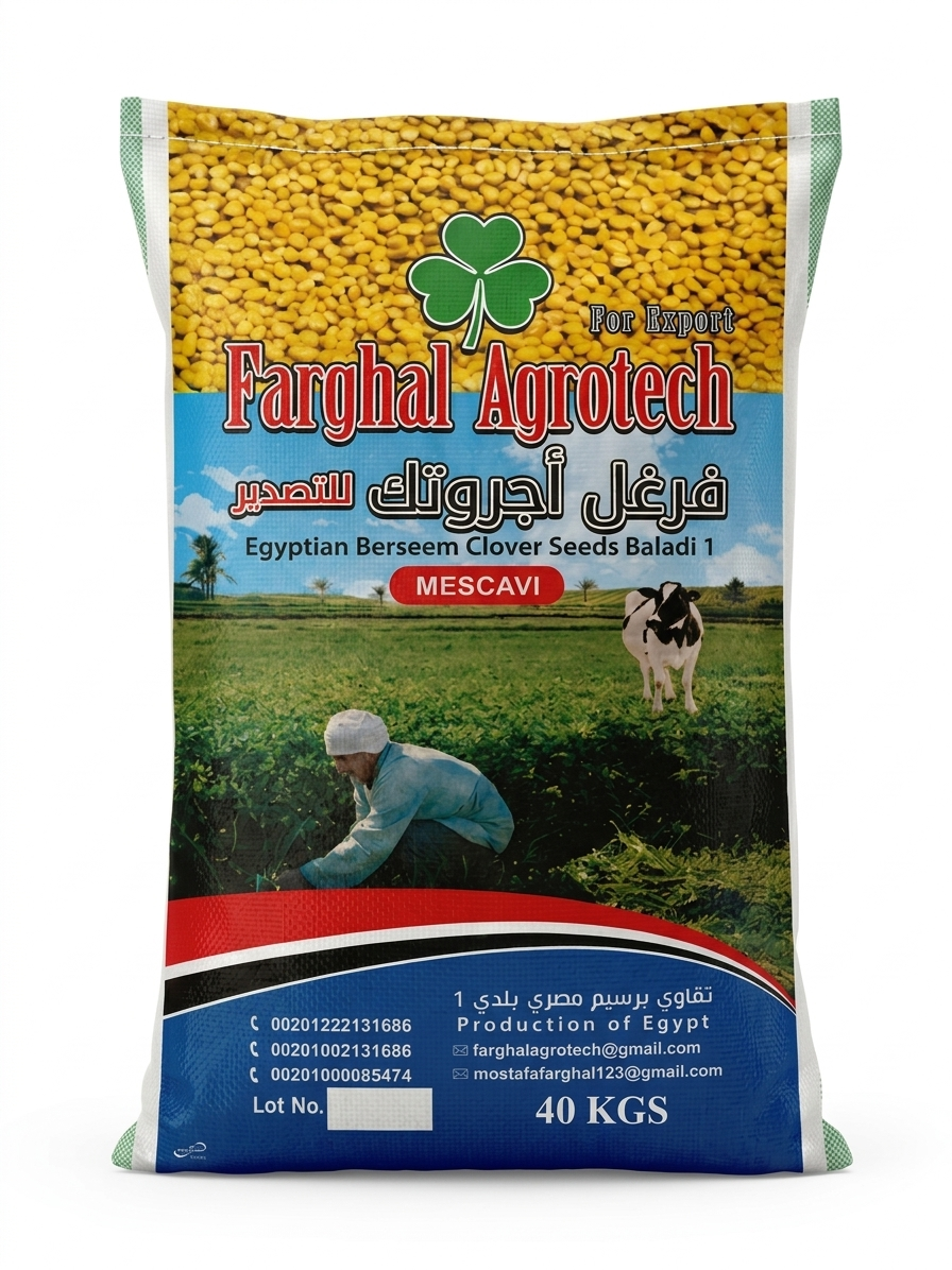 Farghal Agrotech Quality Egyptian Berseem Clover Seeds- 40kg (valuable quality)